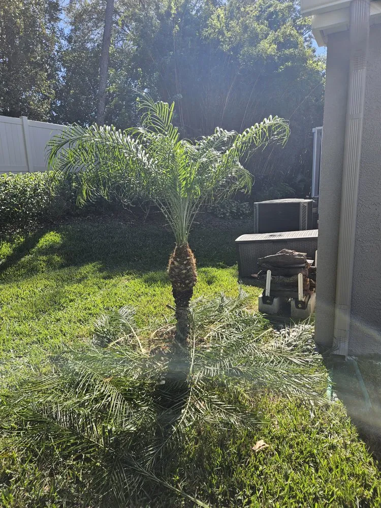 Expert yard maintenance for beautiful yards across Brooksville, FL - Native Land and Pool Care
