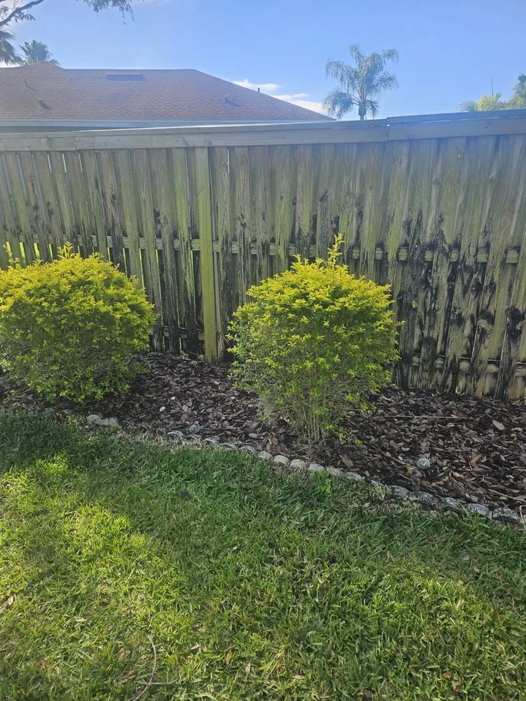 Top-rated landscaping services experts serving Brooksville, FL - Native Land and Pool Care