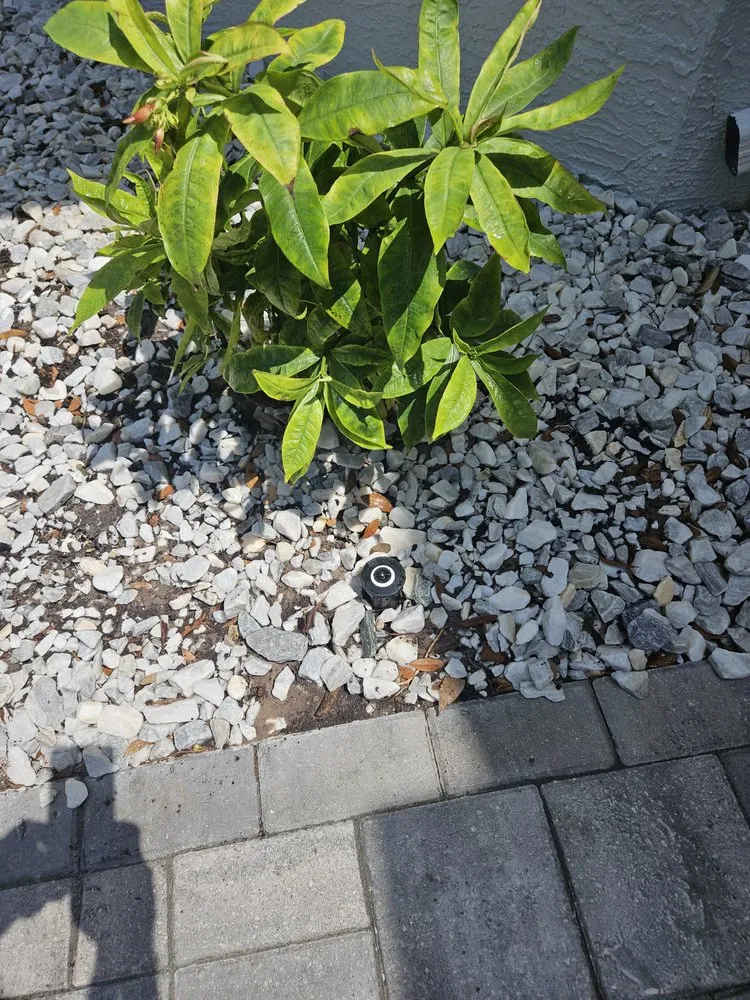 Professional landscaping services near you across Brooksville, FL - Native Land and Pool Care