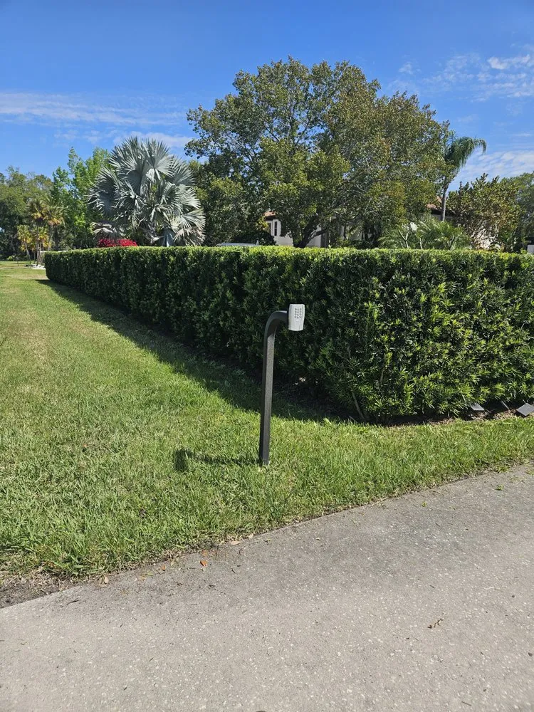 Reliable lawn care service in Brooksville, FL by Native Land and Pool Care