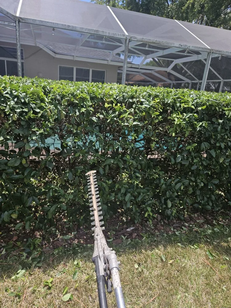 Trusted residential landscaping in Brooksville, FL by Native Land and Pool Care