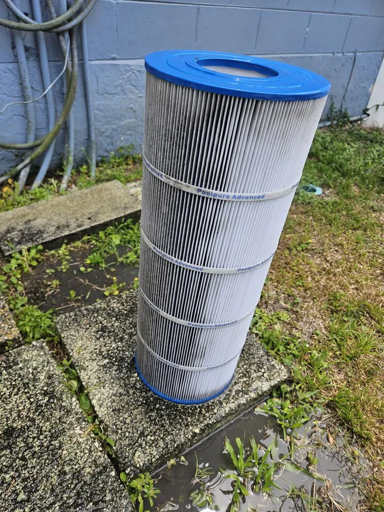 Local yard cleanup service for outdoor upgrades in Brooksville, FL by Native Land and Pool Care