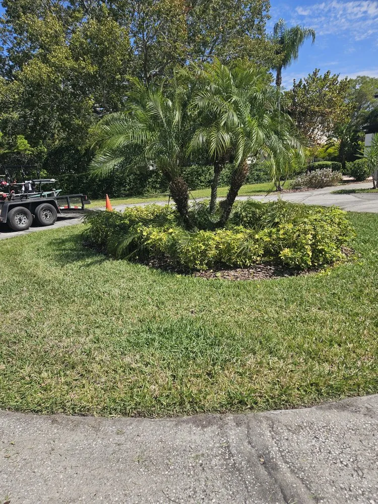Top-rated landscaping services in Brooksville, FL by Native Land and Pool Care