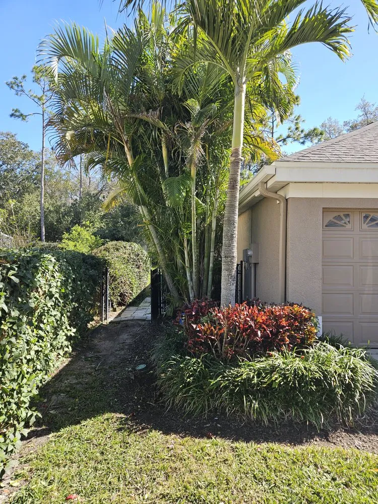 Top-rated garden landscaping in Brooksville, FL by Native Land and Pool Care