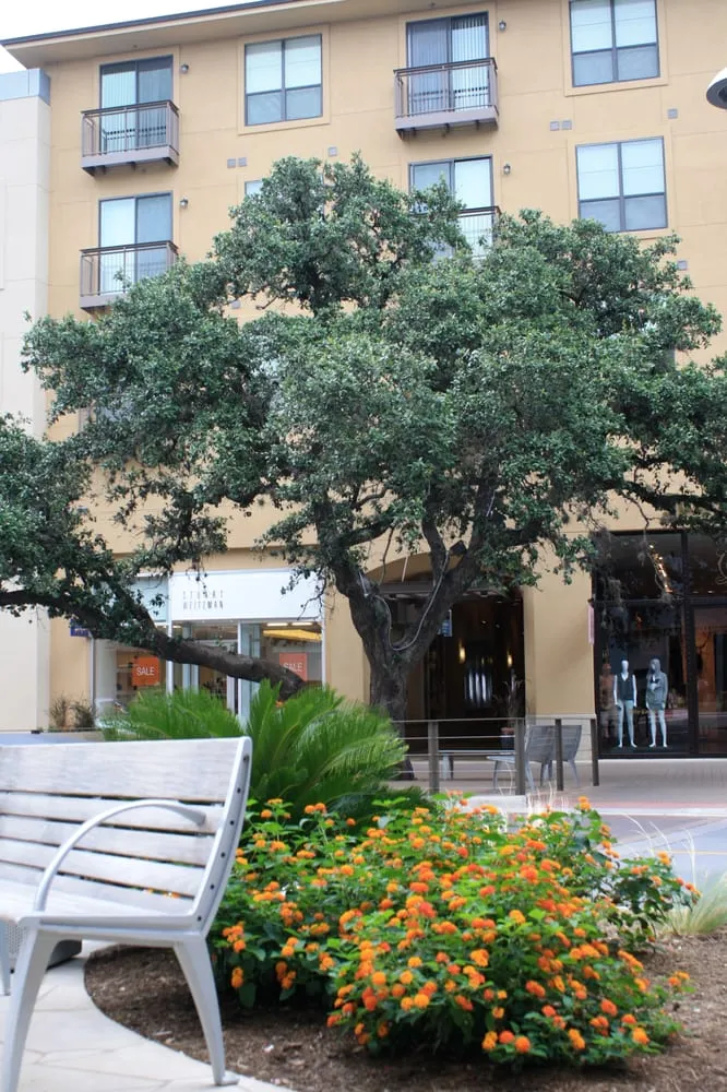 Top-rated landscaping services near you across Cedar Park, TX - Native Land Design