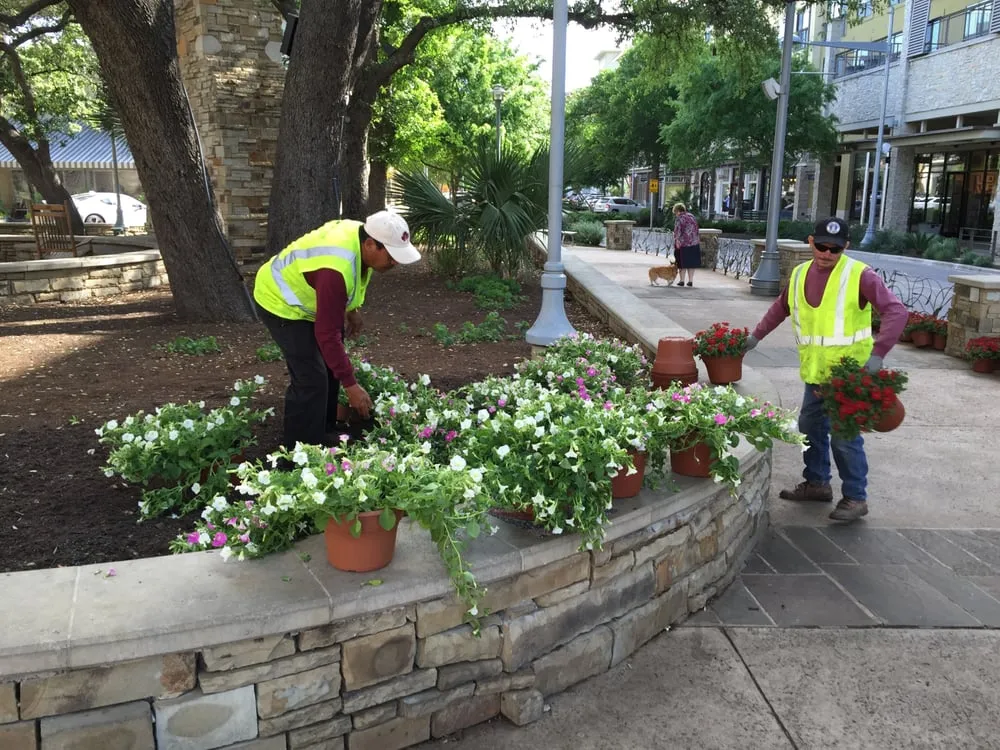 Expert landscaping services in Cedar Park, TX by Native Land Design