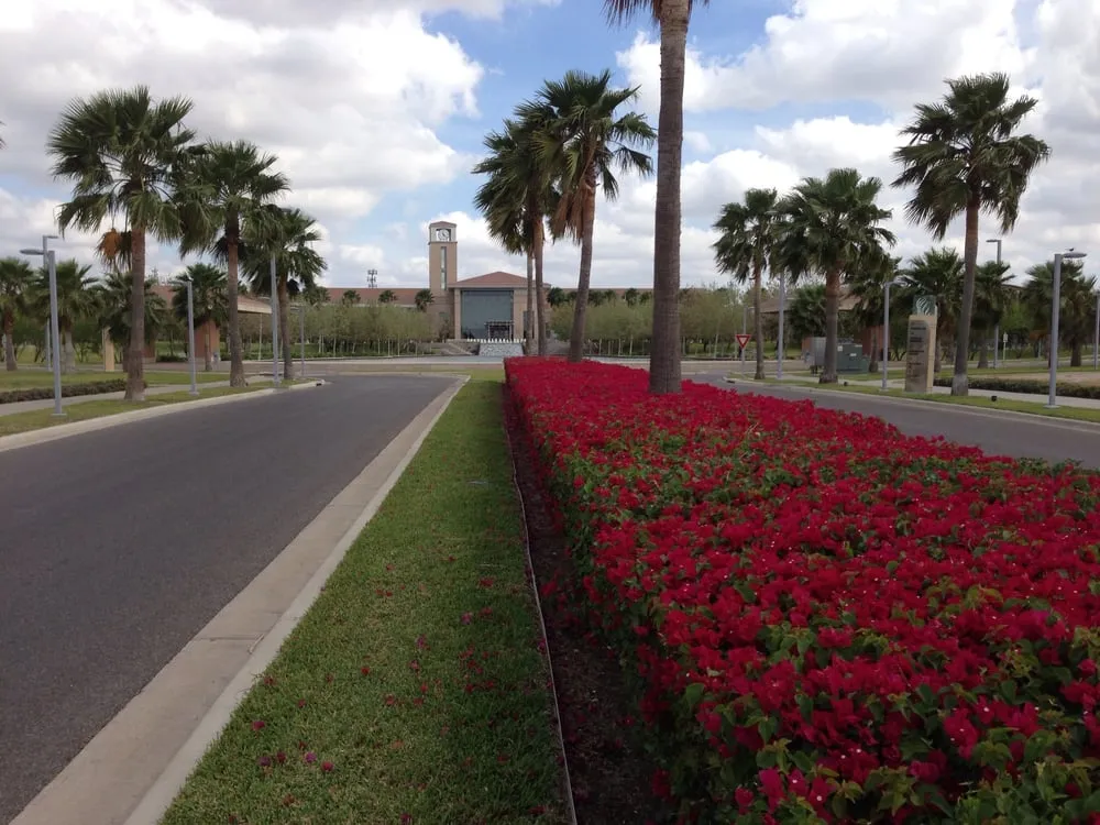 Professional lawn mowing service in Cedar Park, TX - Native Land Design