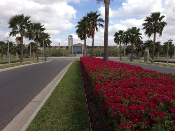 Local landscape design in Cedar Park, TX by Native Land Design