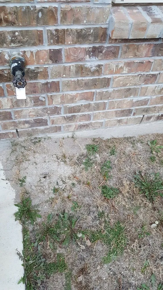 Reliable landscaping services in Cedar Park, TX - Native Land Design