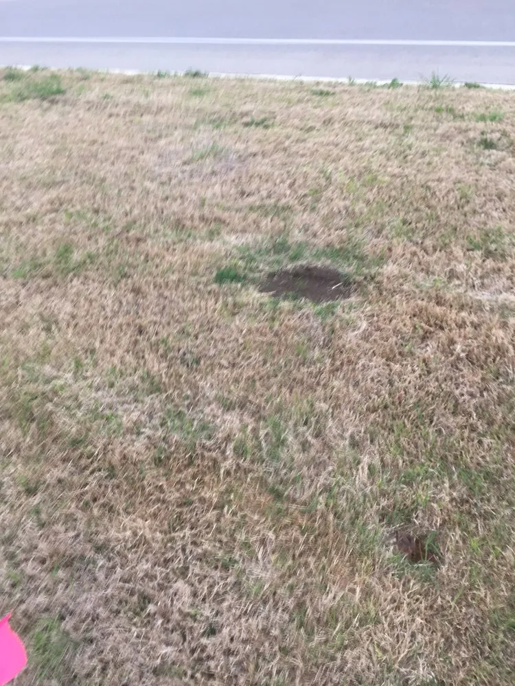 Affordable landscape installation in Cedar Park, TX - Native Land Design