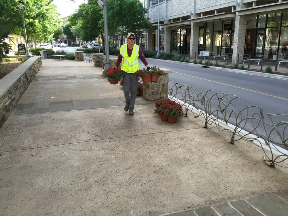 Trusted landscaping services near you across Cedar Park, TX - Native Land Design