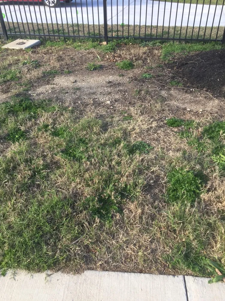 Affordable outdoor landscaping for residential properties in Cedar Park, TX by Native Land Design