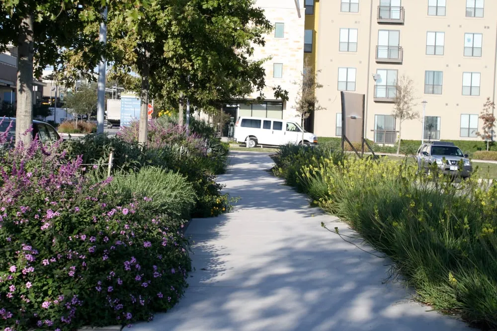 Expert landscaping services for homes in Cedar Park, TX by Native Land Design