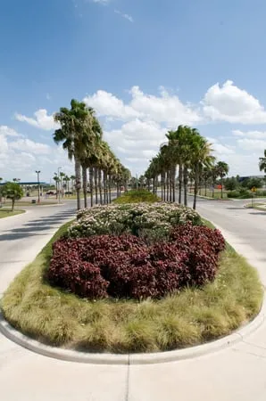 Expert residential landscaping for residential properties in Mission, TX by Native Land Design