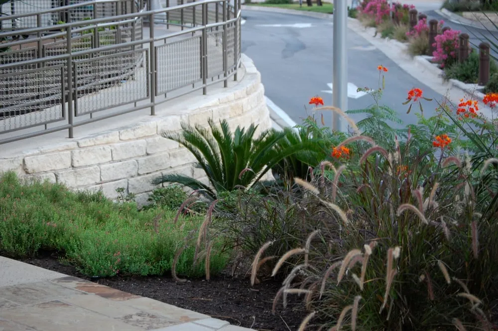 Top-rated outdoor landscaping in Mission, TX by Native Land Design