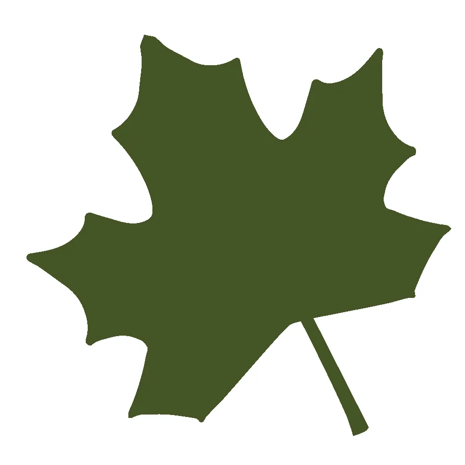 Affordable yard maintenance experts serving Mission, TX - Native Land Design