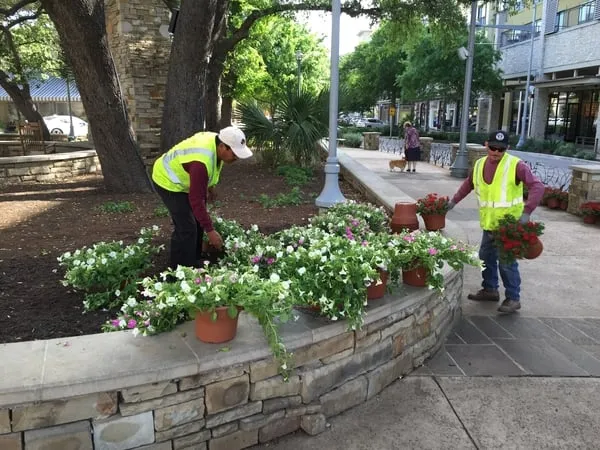 Trusted landscaping services for year-round maintenance in Mission, TX by Native Land Design