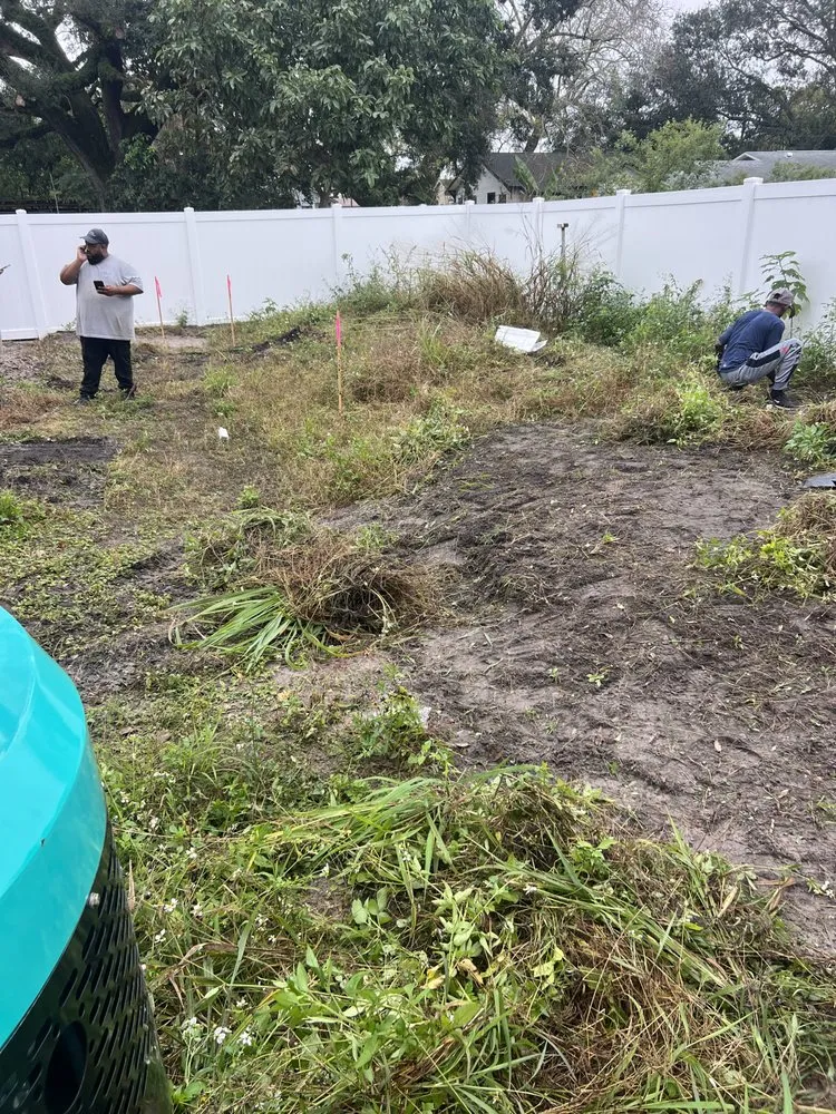 Professional landscaping services experts serving Eustis, FL - Native Land Development