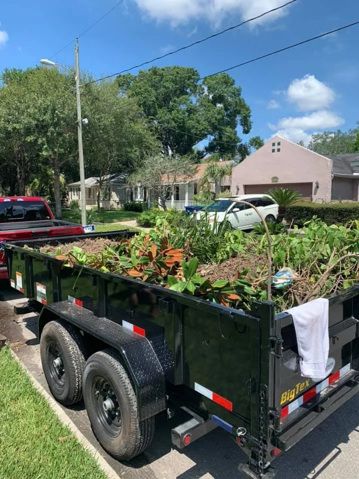 Reliable yard cleanup service in Tampa, FL - Native Landscape & Drainage