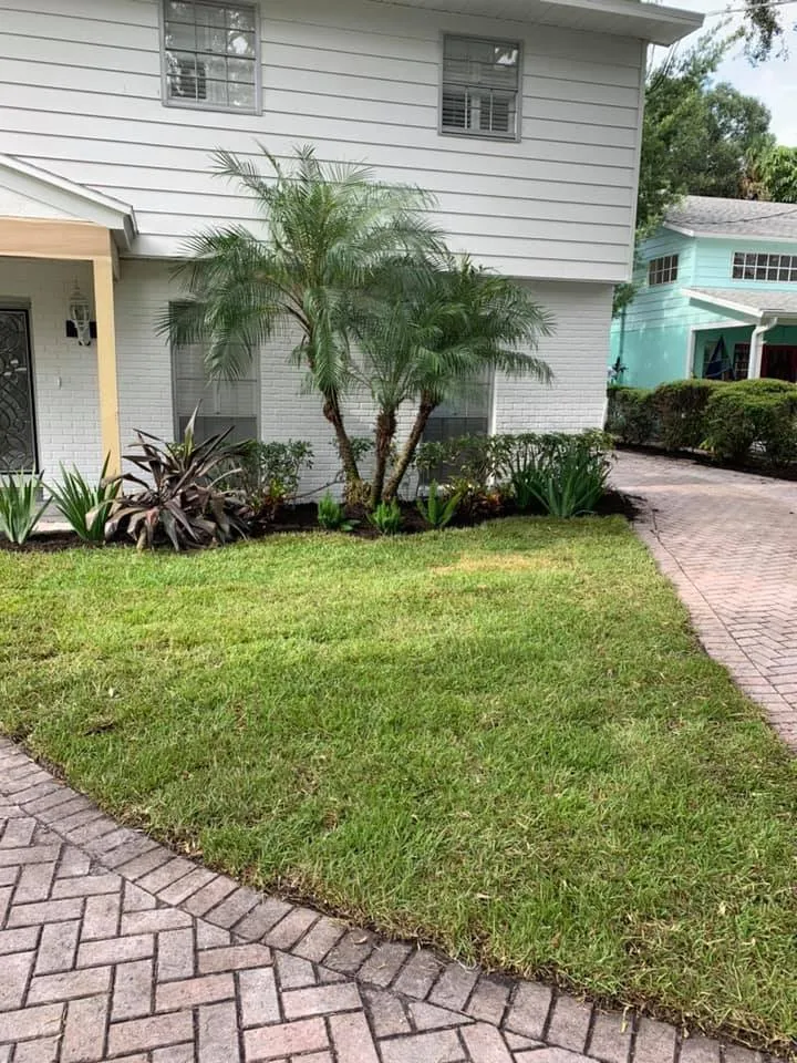 Local yard maintenance experts serving Tampa, FL - Native Landscape & Drainage