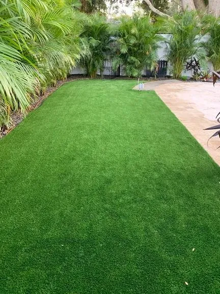 Expert landscaping services experts serving Tampa, FL - Native Landscape & Drainage