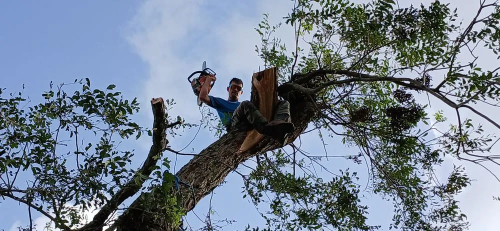 Reliable landscaping services in Freeport, TX by Native Landscapes