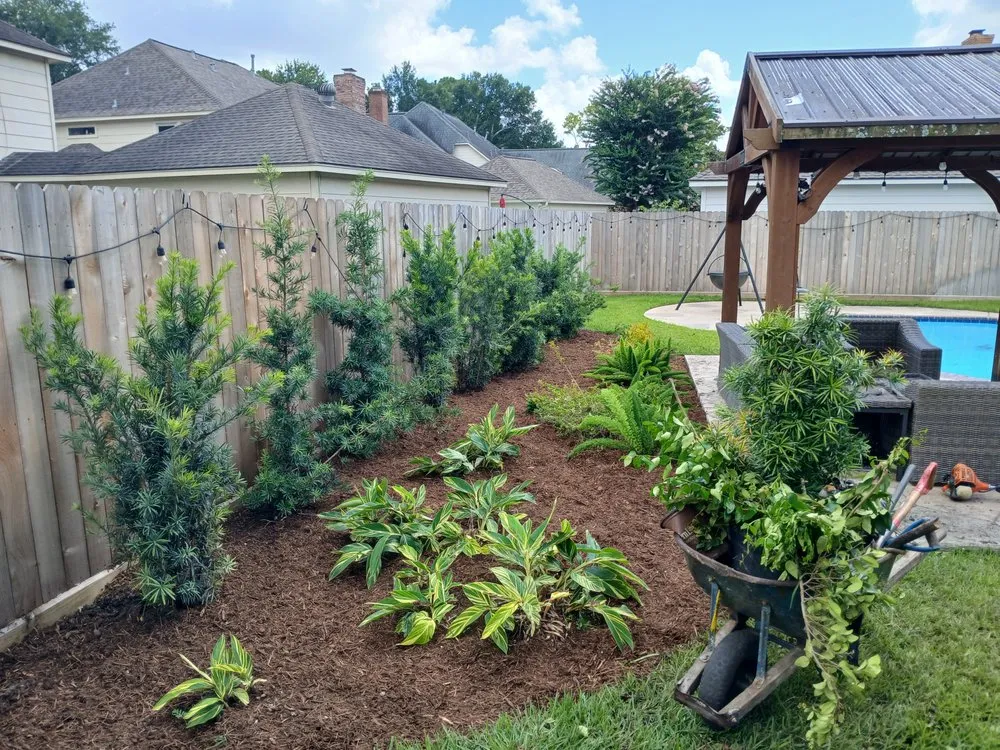 Reliable outdoor landscaping in Freeport, TX - Native Landscapes