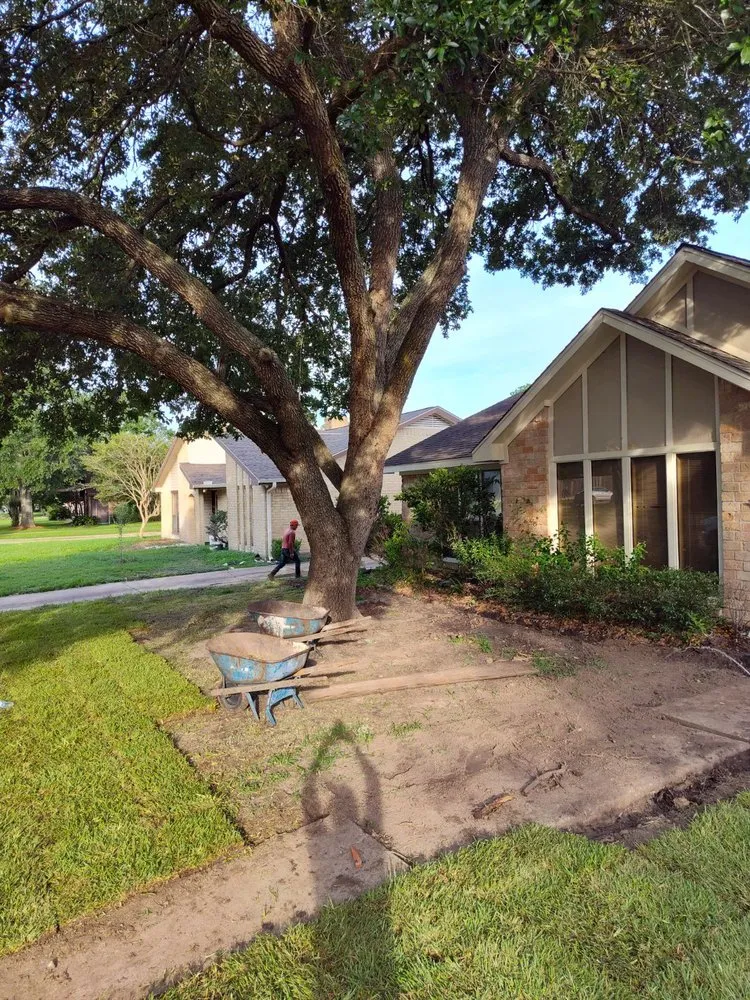 Custom landscape design for beautiful yards across Freeport, TX - Native Landscapes