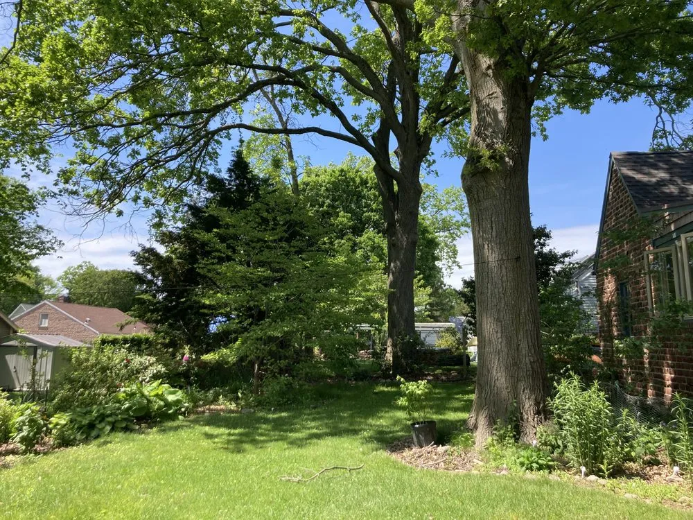 Top-rated residential landscaping in Norwalk, CT - Native Landscapes