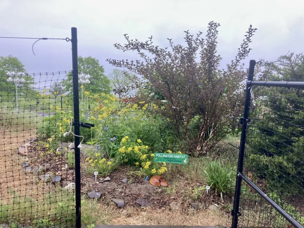 Expert lawn care service in Norwalk, CT by Native Landscapes