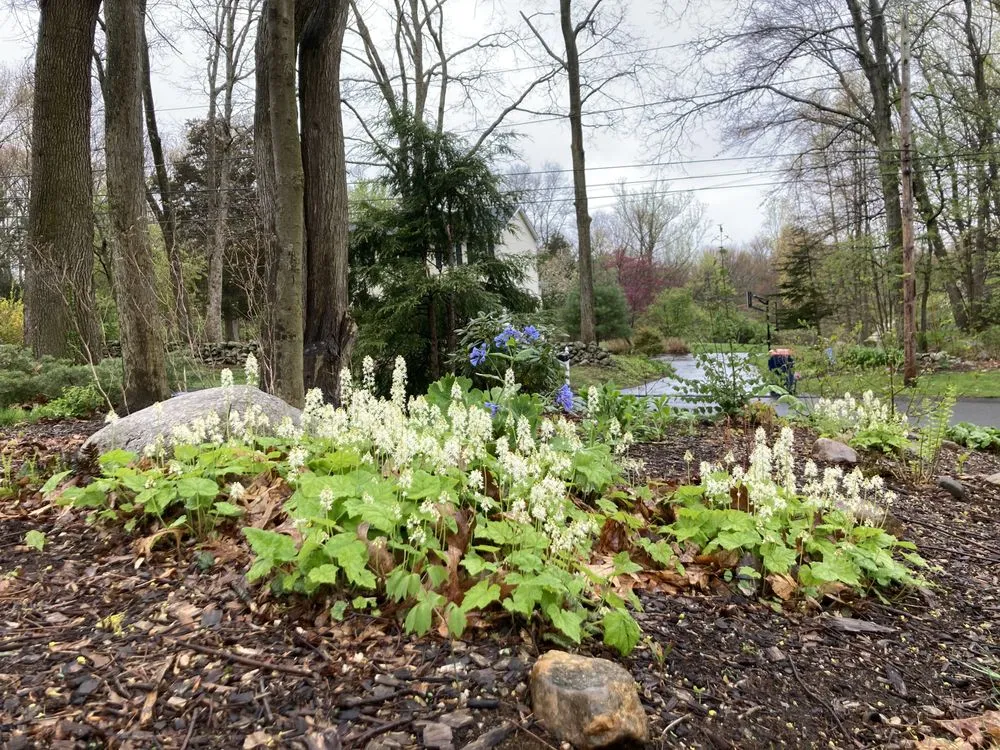 Affordable residential landscaping for homes across Norwalk, CT - Native Landscapes