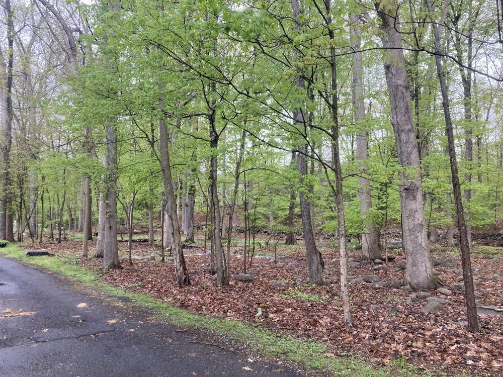 Affordable landscape installation in Norwalk, CT - Native Landscapes