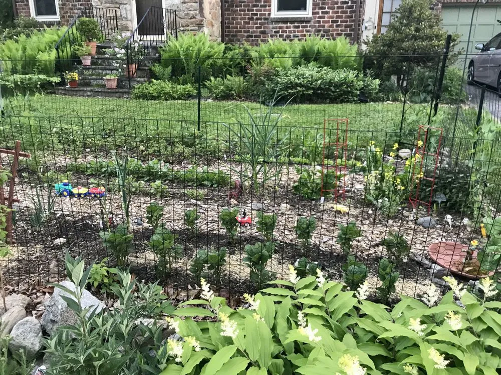 Expert landscape design experts serving Norwalk, CT - Native Landscapes