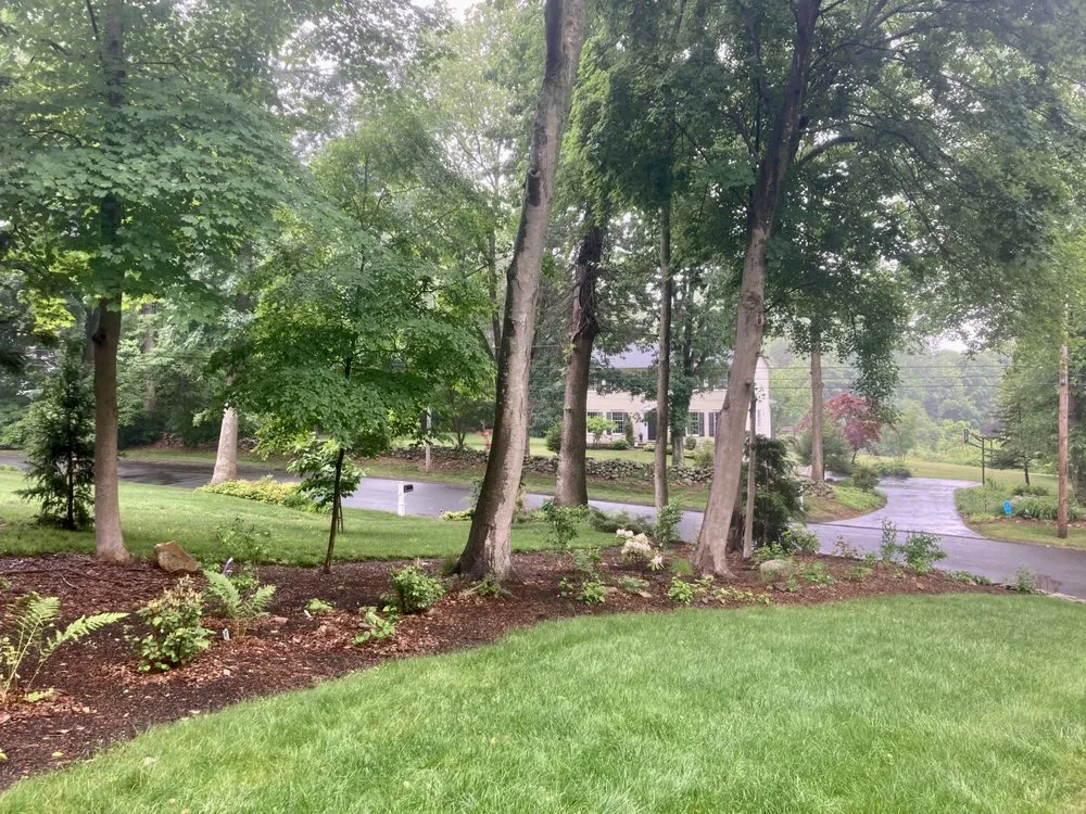 Professional residential landscaping experts serving Norwalk, CT - Native Landscapes