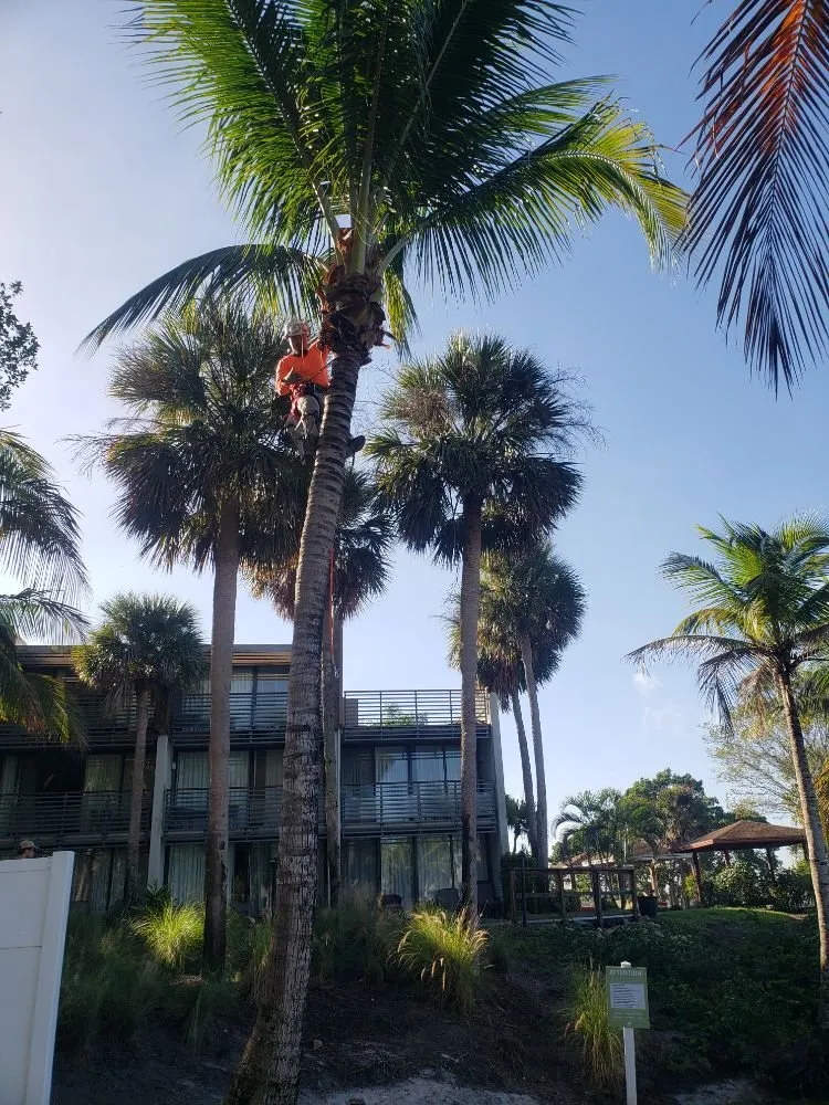 Professional lawn care service for year-round maintenance in Port St Lucie, FL by Native Landscapes