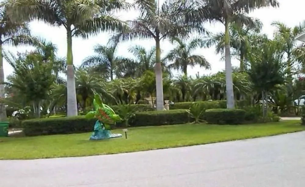 Local yard cleanup service in Port St Lucie, FL by Native Landscapes
