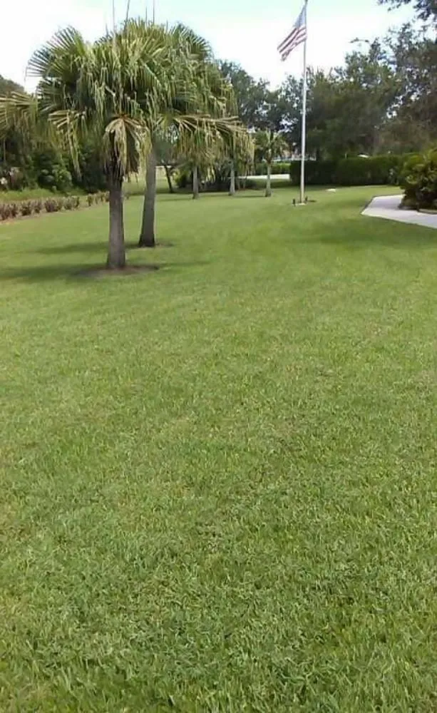 Affordable yard cleanup service for beautiful yards across Port St Lucie, FL - Native Landscapes