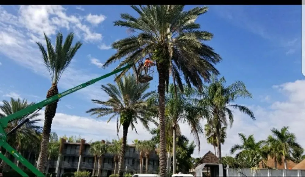 Local lawn care service near you in Port St Lucie, FL by Native Landscapes