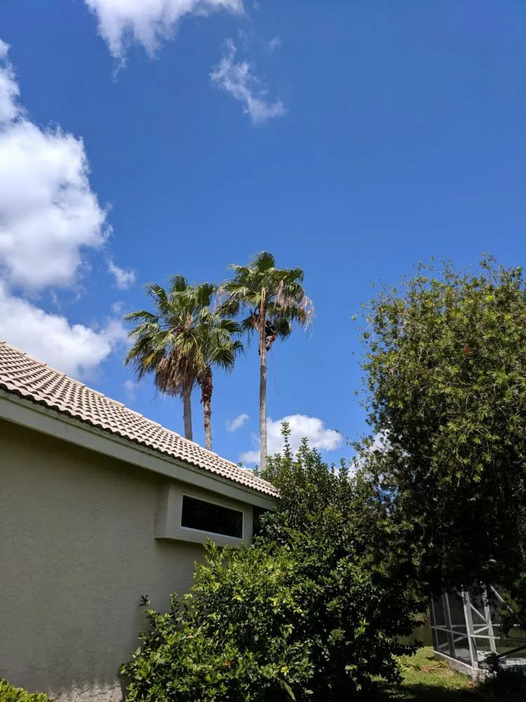 Local garden landscaping experts serving Port St Lucie, FL - Native Landscapes