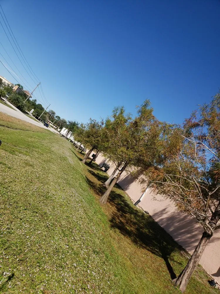 Affordable lawn care service in Port St Lucie, FL - Native Landscapes