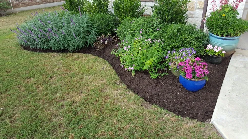 Custom yard cleanup service experts serving Kyle, TX - Native Landscaping Design