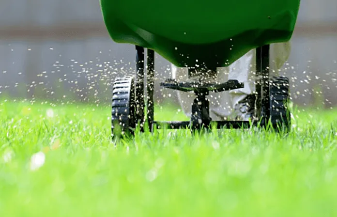 Local lawn mowing service for outdoor upgrades in Kyle, TX by Native Landscaping Design