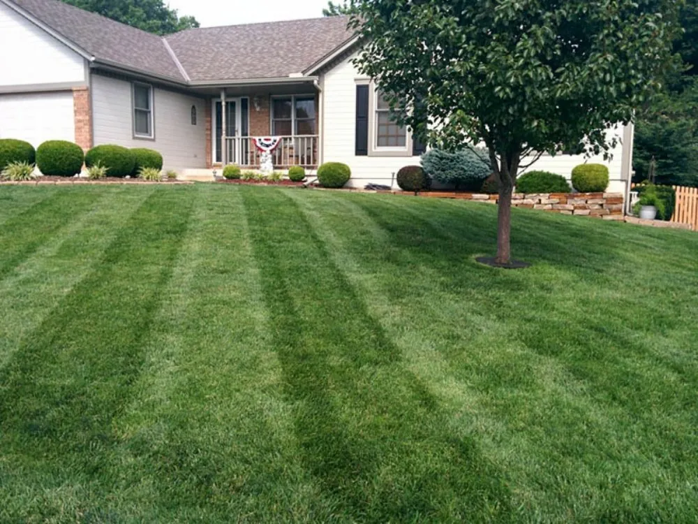 Local garden landscaping experts serving Independence, MO - Native landscaping