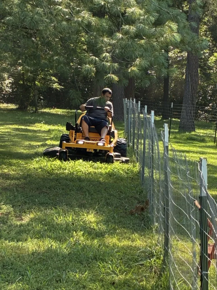 Affordable landscape installation near you in Villa Ridge, MO by Native Lawn Care