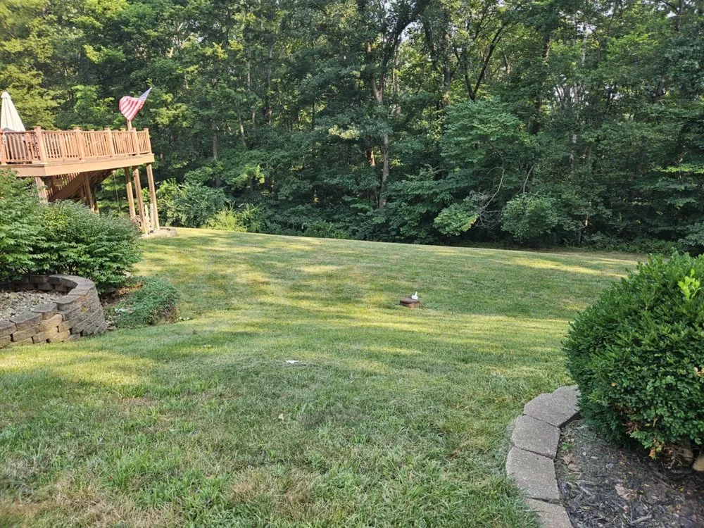 Reliable lawn care service experts serving Villa Ridge, MO - Native Lawn Care