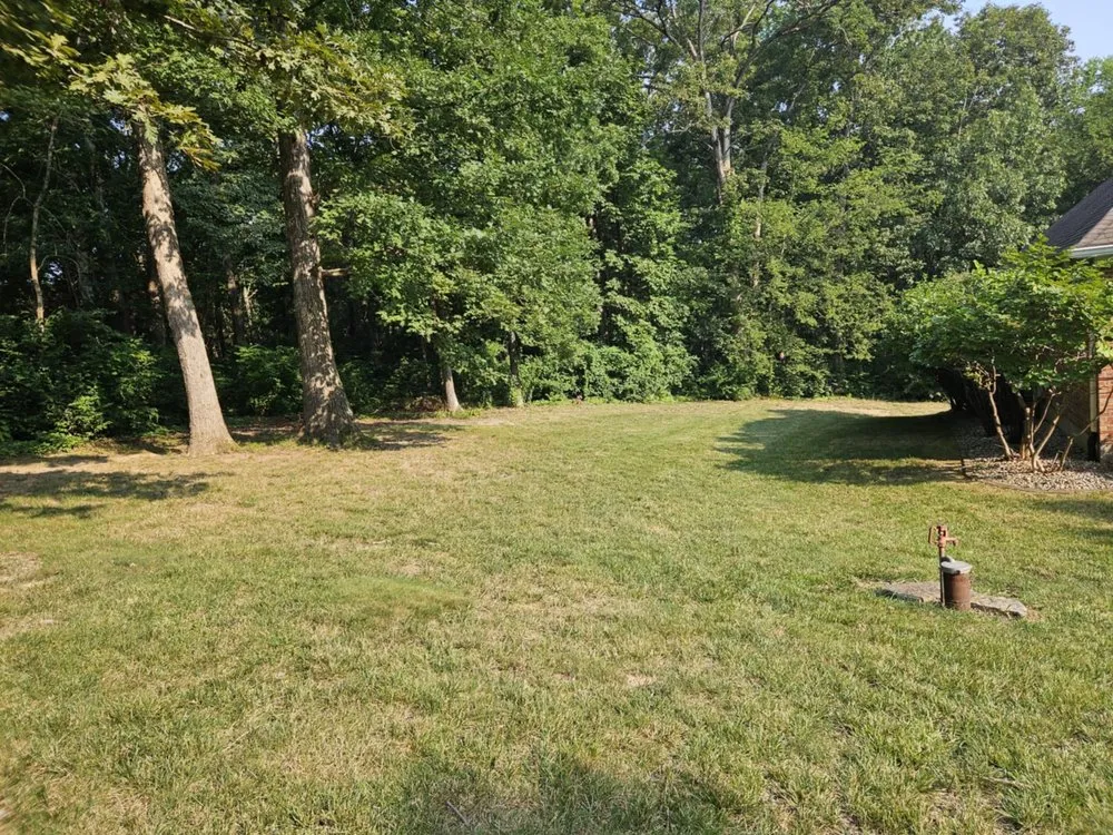 Affordable landscape design experts serving Villa Ridge, MO - Native Lawn Care