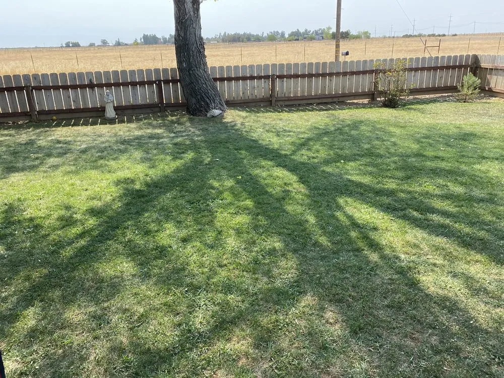 Reliable garden landscaping in Red Bluff, CA by Native Lawncare