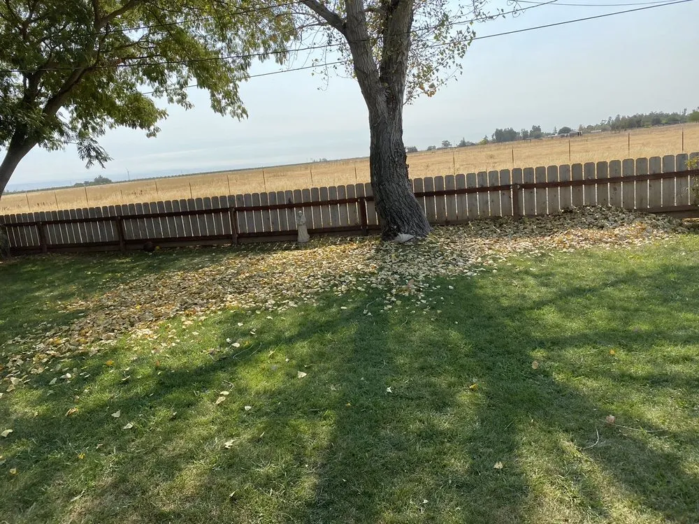 Local residential landscaping in Red Bluff, CA - Native Lawncare