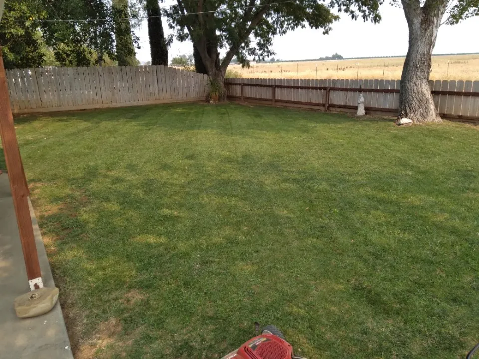 Local lawn mowing service for year-round maintenance across Red Bluff, CA - Native Lawncare