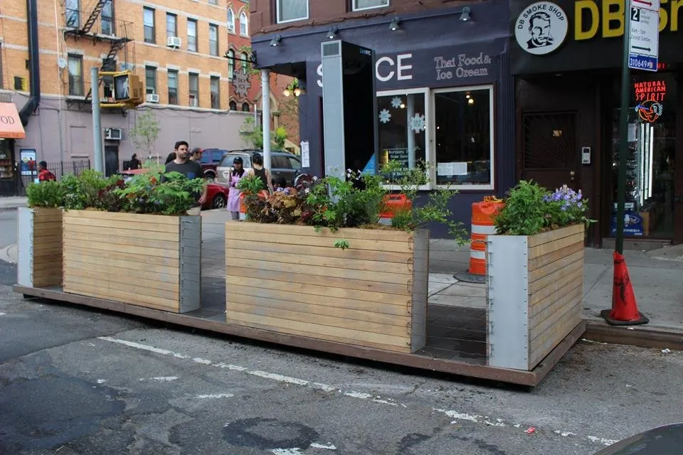 Professional lawn care service in Brooklyn, NY - Native NY Gardens